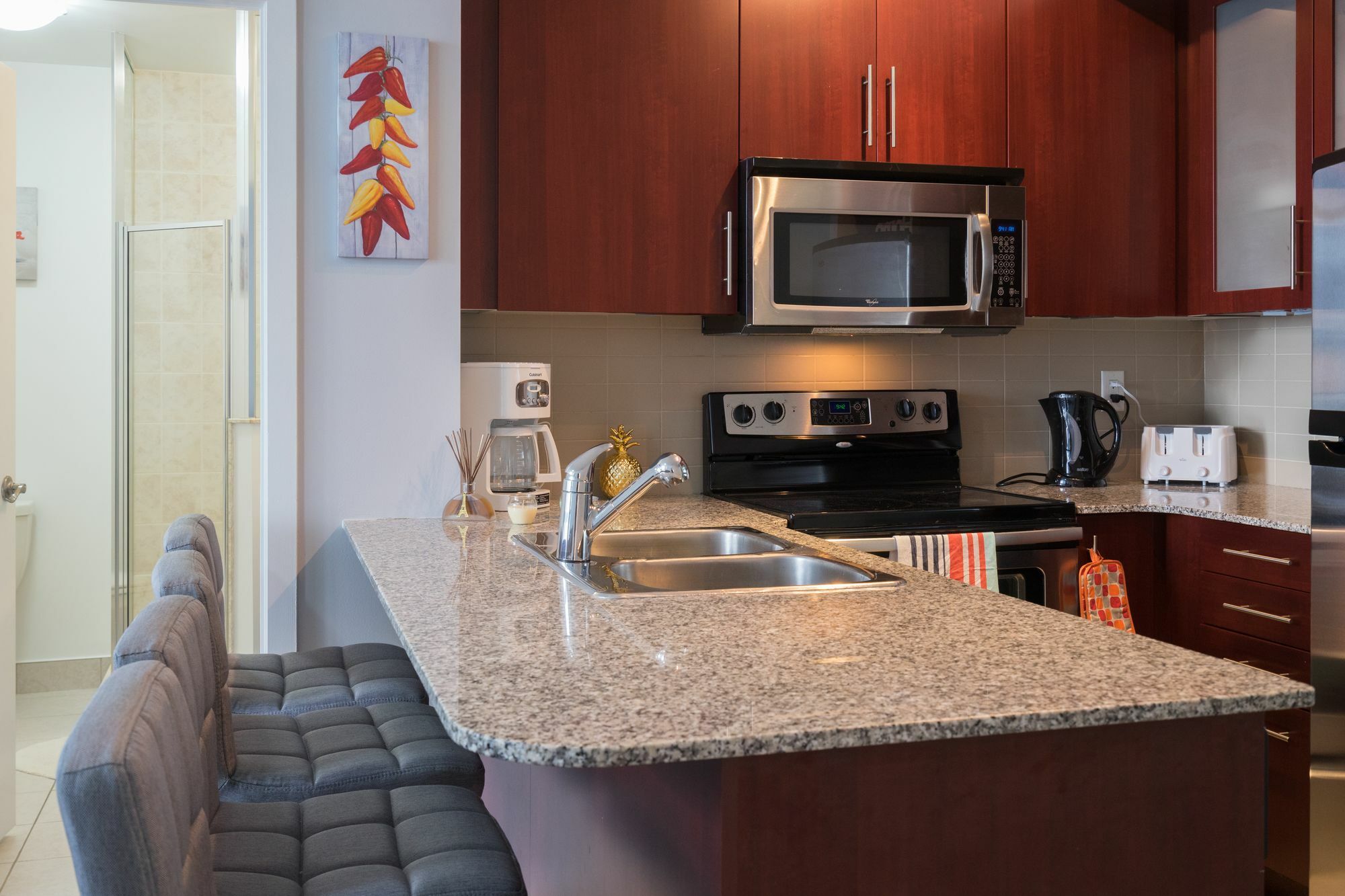 Applewood Suites - 3 Bdrm Ent. District 4* Toronto